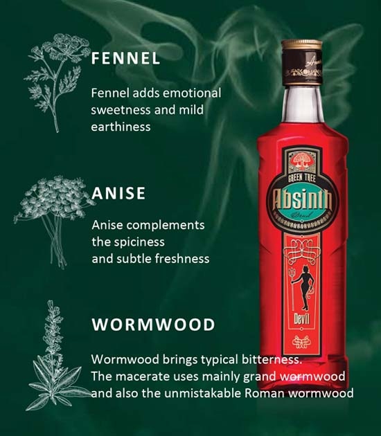 The golden trinity used to make Red Absinthe - grand wormwood, fennel, and anise.